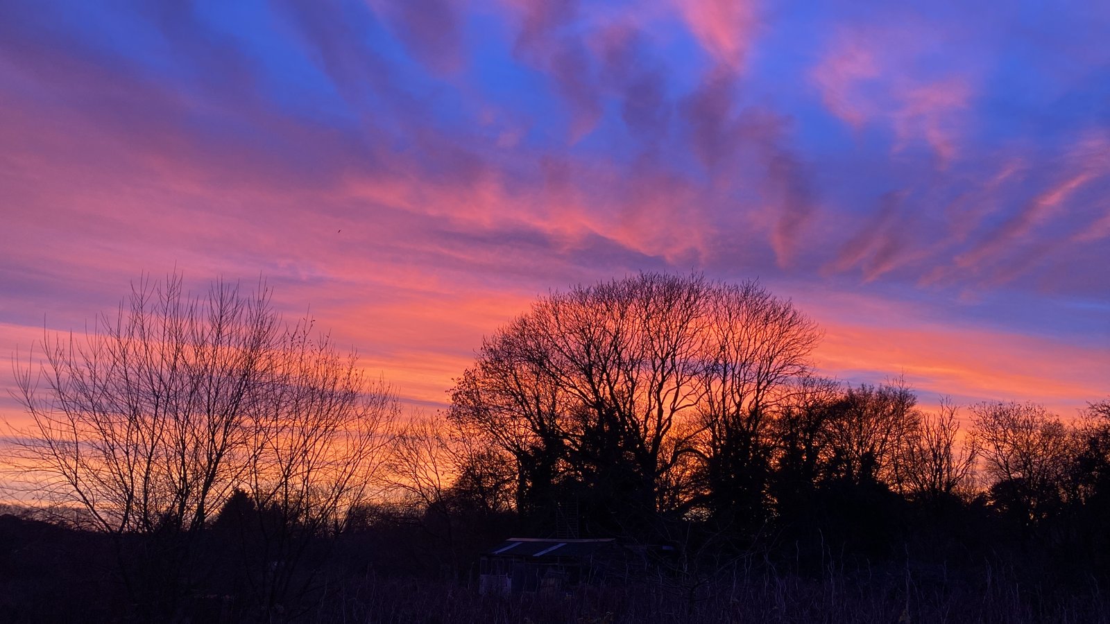 GreenHeart Farm regenerative smallholding in Norfolk